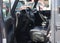 2017 Jeep Wrangler Unlimited Sahara 4x4